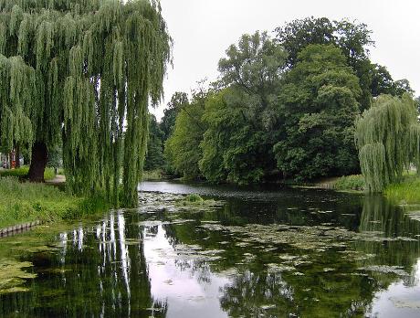 Foto Rijsterborgherpark in Deventer, Aussicht, Nachbarschaft, platz, park